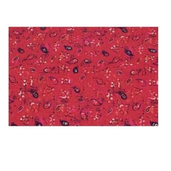 Mutt Nation Leather Collar Buckle with Slip on Bandana Small Up to 20 LB - Picture 2 of 8